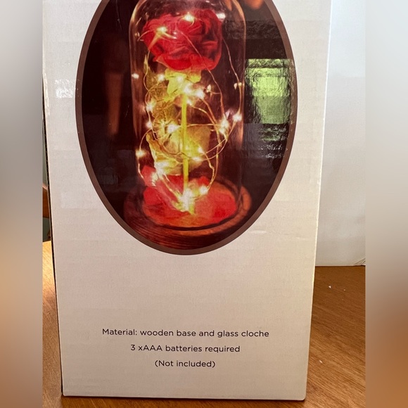 Enchanted Rose with lights in glass dome. - Picture 1 of 5